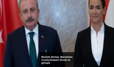 Mustafa Şentop, Macaristan Cumhurbaşkanı Novak ile görüştü