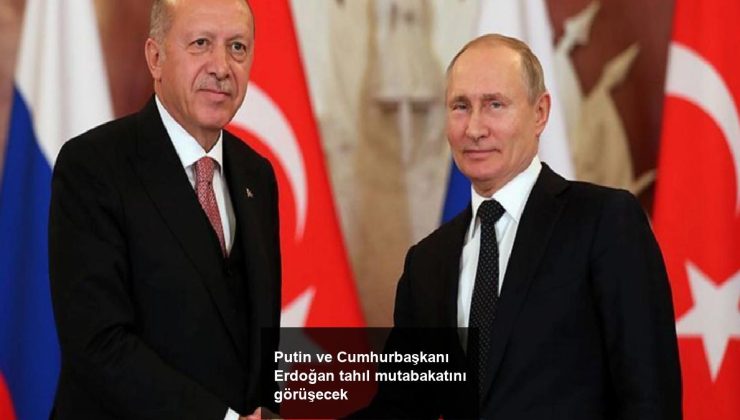 Putin ve Cumhurbaşkanı Erdoğan tahıl mutabakatını görüşecek