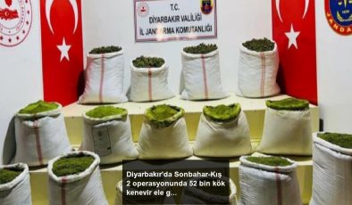 Diyarbakır’da Sonbahar-Kış 2 operasyonunda 52 bin kök kenevir ele geçirildi
