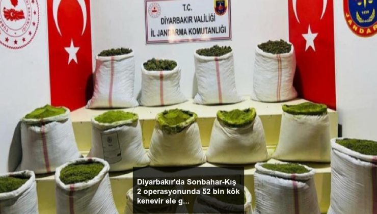 Diyarbakır’da Sonbahar-Kış 2 operasyonunda 52 bin kök kenevir ele geçirildi