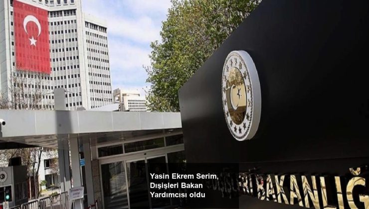 Yasin Ekrem Serim, Dışişleri Bakan Yardımcısı oldu