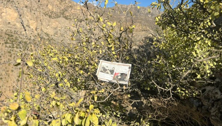 Hakkari’de dağlara PKK’lı teröristlere ‘teslim ol’ bildirisi dağıtıldı