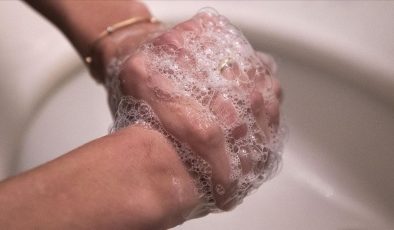 Kuduz şüphesinde hayat kurtaran yöntem: Yarayı basınçlı su ve sabunla yıkayın