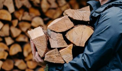 Fransa’da hükümet halka odun desteği verecek