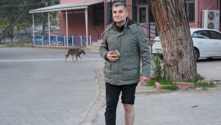 Manisa’da köpeklerden kaçarken düştü