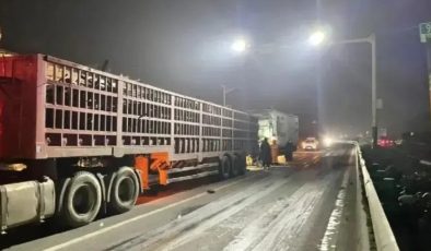 Çin’de kamyon taziye çadırına daldı: 17 ölü