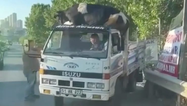 Başakşehir’de boğanın kamyonetten düşme anı