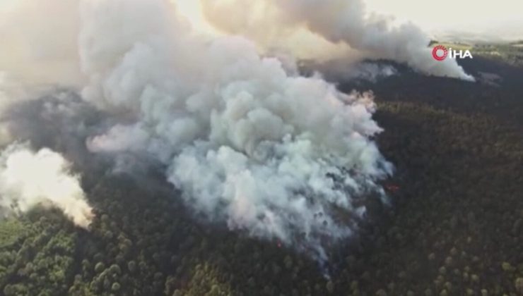 Meksika’da orman yangını: 10 ev tahliye edildi