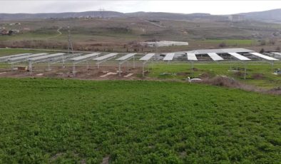 Türkiye’nin ilk açık alanda Tarım GES uygulaması Ankara’da üretime başlıyor