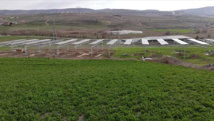 Türkiye’nin ilk açık alanda Tarım GES uygulaması Ankara’da üretime başlıyor