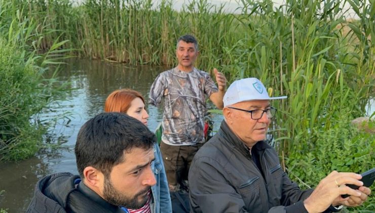 Uzmanlar Eber Gölü kurursa manda kaymağının üretilmeyeceğini belirtiyor