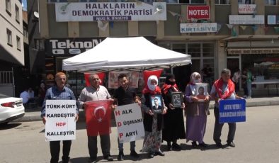 Muş’ta evlat nöbetine katılan anne: Yılanın başı HDP’dir