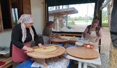 Samsun’da kooperatif kuran 10 kadın, organik üründen gelir elde ediyor