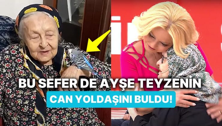 Stüdyoda Duygu Dolu Anlar: Müge Anlı, 90 Yaşındaki Ayşe Teyzenin Can Yoldaşı Maviş’i Buldu!