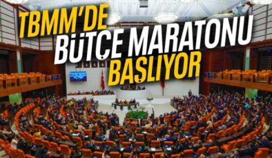 “Türkiye Büyük Millet Meclisi, 2025 Yılı Bütçe Görüşmelerine Hazır”